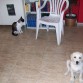 Aqui estoy com mi compi Are